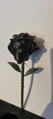 Gothic Skull Rose 3d Printed Gift Perfect Wedding Or Friend Halloween Present