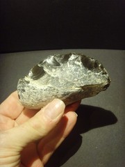 Lower Paleolithic – Fine Acheulean convex scraper. c.450,000 BP.