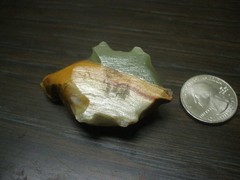 UNKNOWN Carved Turtle