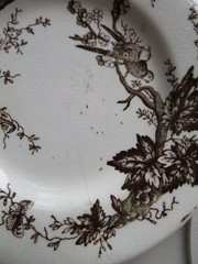 2 Vintage WHITE BROWN Transferware PLATES & TEAPOT Birds & Branches CRAZING
