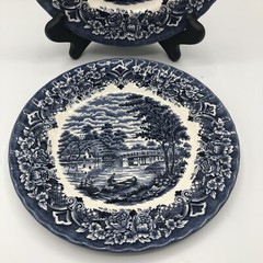 Royal Art Staffordshire Transfer Ware Blue And White 2 Plates