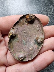 Post Medieval / Georgian Horse Harness Mounts Metal Detecting Find Antique (40)