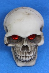 Small Ceramic Human Skull Realistic Occult Gothic Decor Display Oddity
