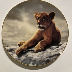 Charles Fracé Wild Innocents COMPLETE Set 4 Plates Lion Tiger Leopard Cheetah