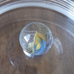 Vintage 0.60″ Cat Eye Sparkler Sunburst Vitro Akro European Master Marble- a45