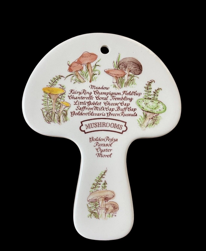 Weiss Mushroom Shaped Kitchen Wall Plaque Vintage Hand Painted Brazil 1980