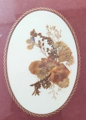 Pressed Real English Flowers Village Green Country Crafts Framed Art 12×6″ Sign