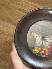 Wood Round Frame Butterfly Dried Flower Glass Gallery Wall Art VTG Brazil