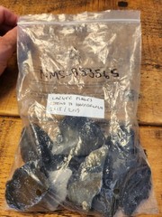 “Rare” lower Paleolithic set of 10 large flakes see description