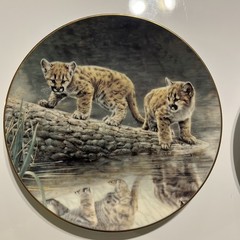 Charles Fracé Wild Innocents COMPLETE Set 4 Plates Lion Tiger Leopard Cheetah