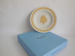 Boxed Wedgwood Cane Yellow On White Jasperware Wattle Flowers Floral Plate