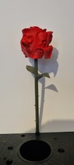 Gothic Skull Rose 3d Printed Gift Perfect Wedding Or Friend Halloween Present
