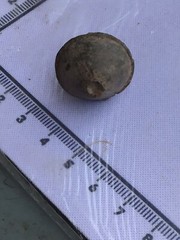 Unknown lead metal detecting find (950)