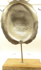 Turtleshell decor/accent piece cast aluminum