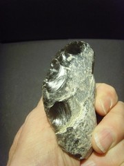 Lower Paleolithic – Fine Acheulean convex scraper. c.450,000 BP.