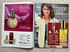 Vintage AVON 1981 SALES CATALOG BROCHURE (Campaign 16) ~ Large Format/ No Label