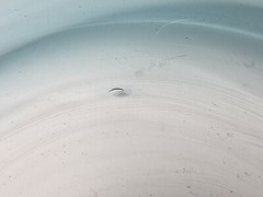 Vintage 1960’s Unbranded Aqua Blue Glass Raised Center Handmade 7.25″ Round Bowl