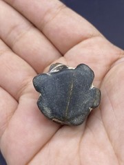 Rare Beautiful Natural Jasper Stone Authentic Near Eastern Turtle 🐢 Amulet BEAD