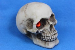 Small Ceramic Human Skull Realistic Occult Gothic Decor Display Oddity
