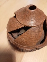 Unusual Hand Carved Brazil Nut Seeds Inside