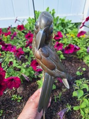 Vintage Brass & Copper Parrot Hanging Sculpture without perch