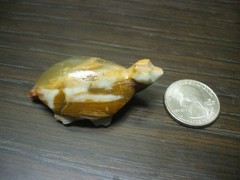 UNKNOWN Carved Turtle