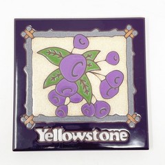 Masterworks Art Tiles Ceramic Yellowstone Trivet Purple Flowers Travel Souvenir