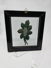 VTG Capodimonte Porcelain 3D Flowers Framed Made in Italy Signed Carlo Lowastano
