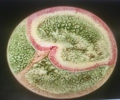 Antique Majolica Begonia Leaf Tall Pedestal Dish Platter