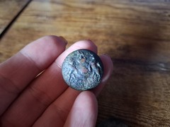 2 x british button military caunt & son london 53st horse lion crown collector