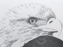 Jeff Gogue Signed Eagle Lithograph Print Rare Hand Numbered Art Isaiah 40:31