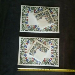 Rare Swiss WIDA Paper Vintage Serviettes & Swiss Placemats 25 Floral 2 Packs