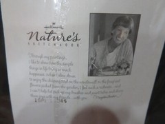 Hallmark Marjolein Bastin SUNFLOWER & PHOTO FRAME Magnet Nature’s Sketchbook-NIP