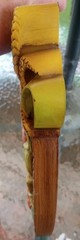 Vintage BURWOOD PRODUCTS WALL ART, PHEASENT, BARN, CORN, TOMATOES , 3 D, MCM