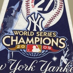 NY YANKEES 2009 WORLD SERIES CHAMPIONS PENNANT 27 TIME FALL CLASSIC BANNER MLB