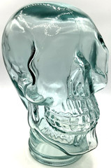 Aqua Blue Life-Size Glass Human Skull Mannequin Head Halloween Horror Goth Jar