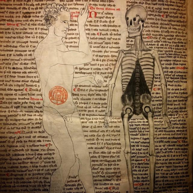 14th-century medical text from the Bibliotheque Mazarine