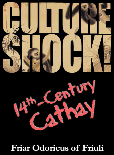 Culture Shock Parody Cover