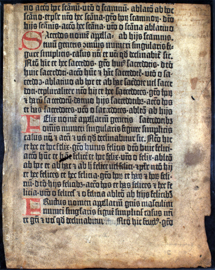 Leaf from a Gutenberg Donatus (British Library).